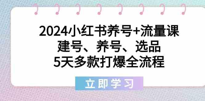 2024小红书养号+流量课：建号、养号、选品，5天多款打爆全流程-源码天堂