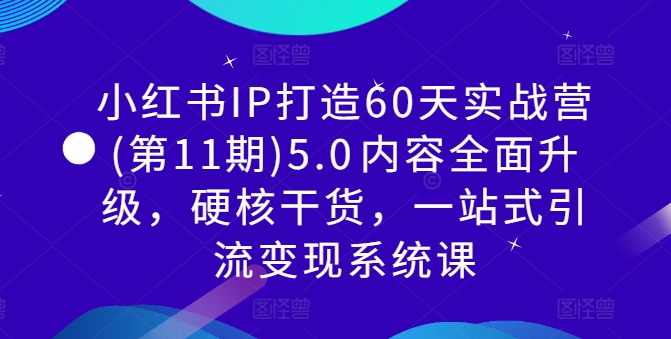 小红书IP打造60天实战营(第11期)5.0​内容全面升级，硬核干货，一站式引流变现系统课-源码天堂