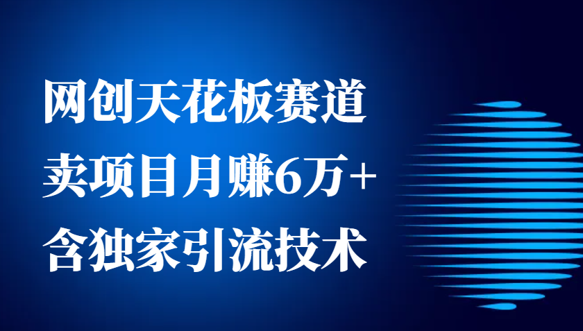 网创天花板赛道，卖项目月赚6万+，含独家引流技术(共26节课)-源码天堂