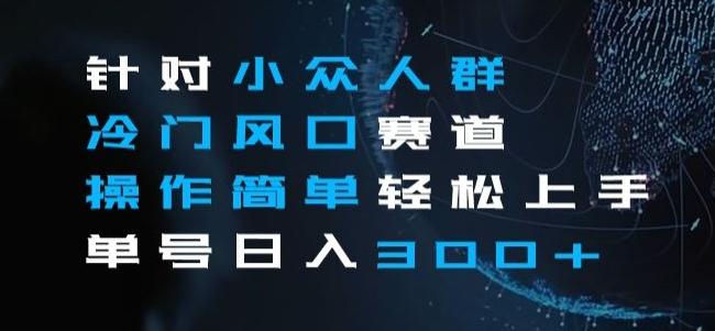 针对小众人群冷门风口赛道，操作简单轻松上手单号日入300+-源码天堂