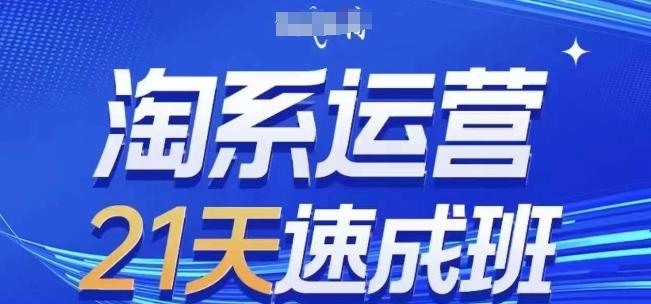 淘系运营21天速成班(更新24年7月)，0基础轻松搞定淘系运营，不做假把式-源码天堂
