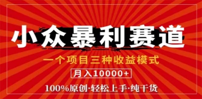 视频号最新爆火赛道，三种可收益模式，0粉新号条条原创条条热门 日入1000+-源码天堂