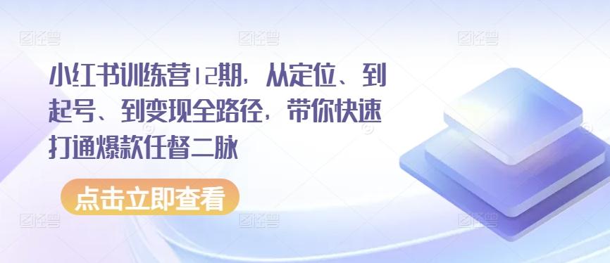 小红书训练营12期，从定位、到起号、到变现全路径，带你快速打通爆款任督二脉-源码天堂