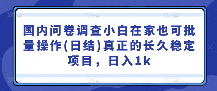 国内问卷调查小白在家也可批量操作(日结)真正的长久稳定项目，日入1k【揭秘】-源码天堂