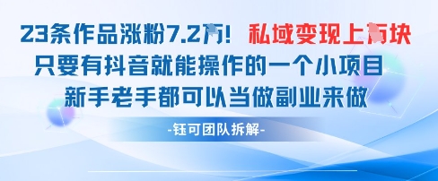 抖音私域项目23条作品涨粉7.2W，私域变现1W-源码天堂