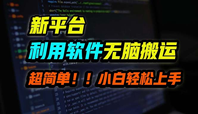B站平台用软件无脑搬运，月赚10000+，小白也能轻松上手-源码天堂