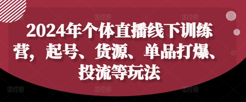 2024年个体直播训练营，起号、货源、单品打爆、投流等玩法-源码天堂
