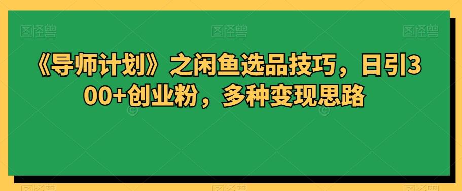 《导师计划》之闲鱼选品技巧，日引300+创业粉，多种变现思路-源码天堂