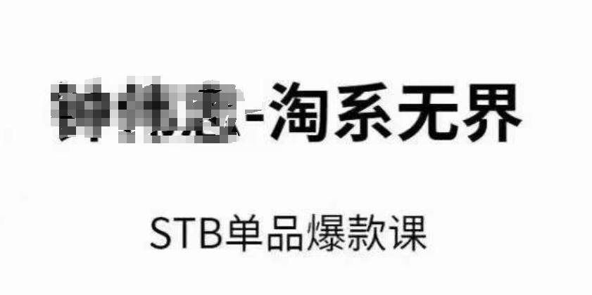 淘系无界STB单品爆款课(2024)，付费带动免费的核心逻辑，万相台无界关键词推广/精准人群的核心-源码天堂