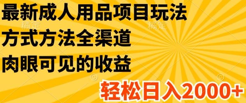 最新成人用品项目玩法，方式方法全渠道，轻松日入2K+【揭秘】-源码天堂