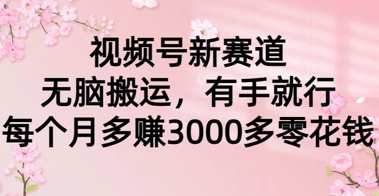 (9278期)视频号新赛道，无脑搬运，有手就行，每个月多赚3000多零花钱-源码天堂