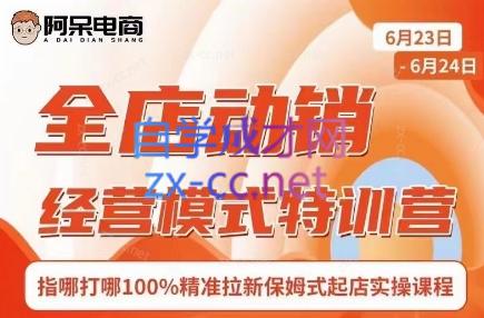 阿呆电商·全店动销经营模式特训营(线下录音+思维导图)-源码天堂