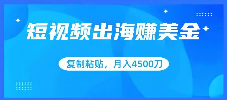 短视频出海赚美金，复制粘贴批量操作，小白轻松掌握，月入4500美刀【揭秘】-源码天堂