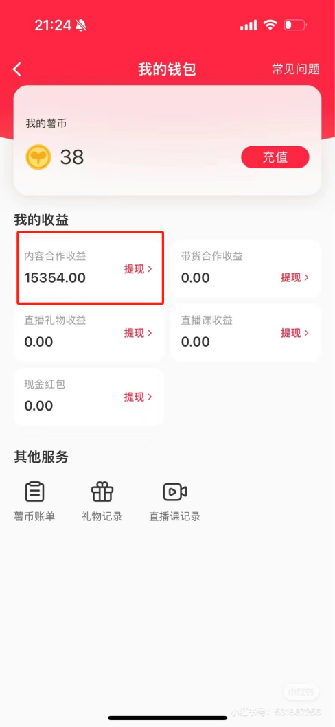 热门评论引爆小红书流量，作品制作简单，广告接到手软，月入过万不是梦-源码天堂
