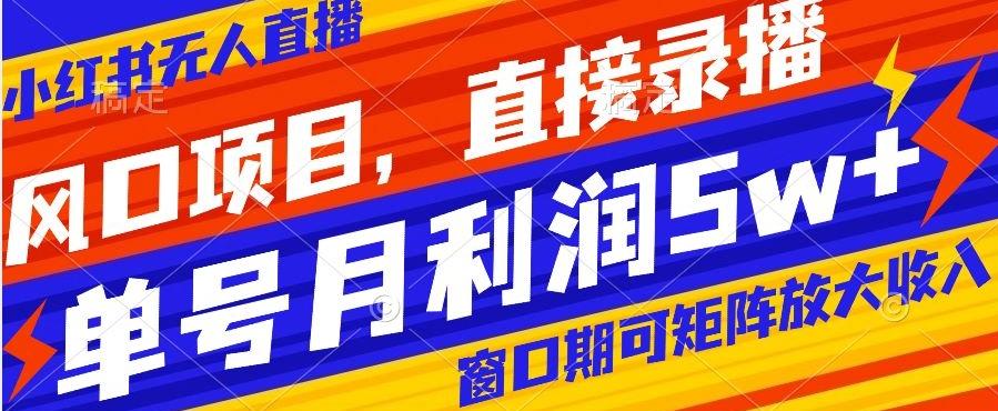 风口项目，小红书无人直播带货，直接录播，可矩阵，月入5w+【揭秘】-源码天堂