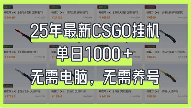 （14178期）25年最新CSGO挂机系统，单日1000+，无需电脑，无需养号，0基础可上手-源码天堂