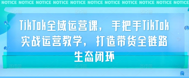 TikTok全域运营课，手把手TikTok实战运营教学，打造带货全链路生态闭环-源码天堂