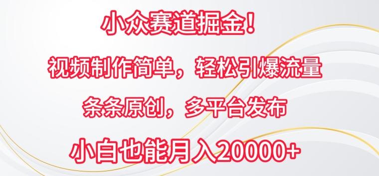 小众赛道掘金，视频制作简单，轻松引爆流量，条条原创，多平台发布【揭秘】-源码天堂