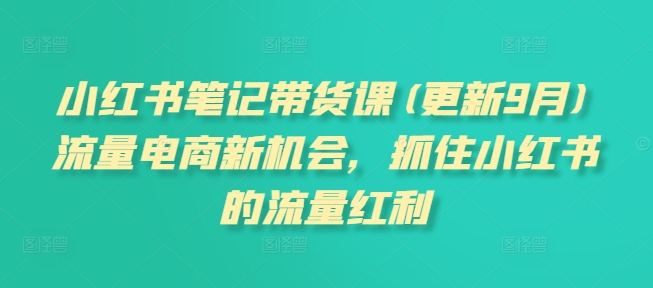 小红书笔记带货课(更新25年5月)流量电商新机会，抓住小红书的流量红利-源码天堂