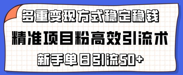 精准项目粉高效引流术，新手单日引流50+，多重变现方式稳定赚钱【揭秘】-源码天堂