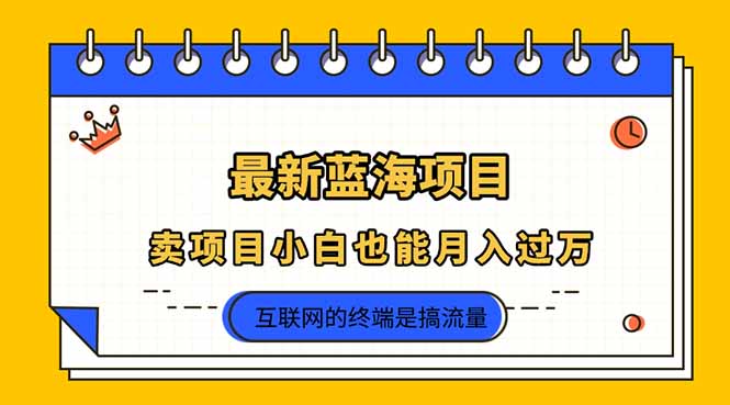 （14289期）2025年最新蓝海项目，卖项目小白也能月入过万-源码天堂