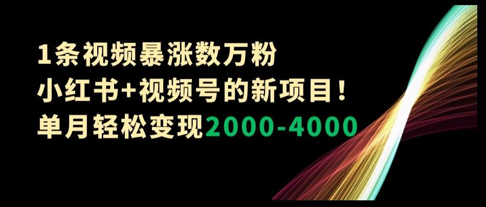 1条视频暴涨数万粉–小红书+视频号的新项目！单月轻松变现2000-4000【揭秘】-源码天堂
