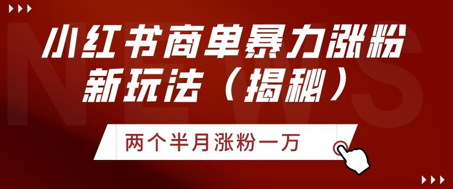 小红书商单暴力涨粉新玩法两个半月涨粉一万（揭秘）-源码天堂