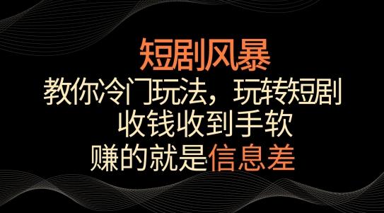 短剧风暴，教你冷门玩法，玩转短剧，收钱收到手软【揭秘】-源码天堂