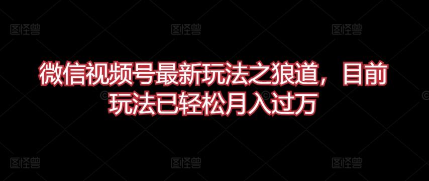微信视频号最新玩法之狼道，目前玩法已轻松月入过万【揭秘】-源码天堂