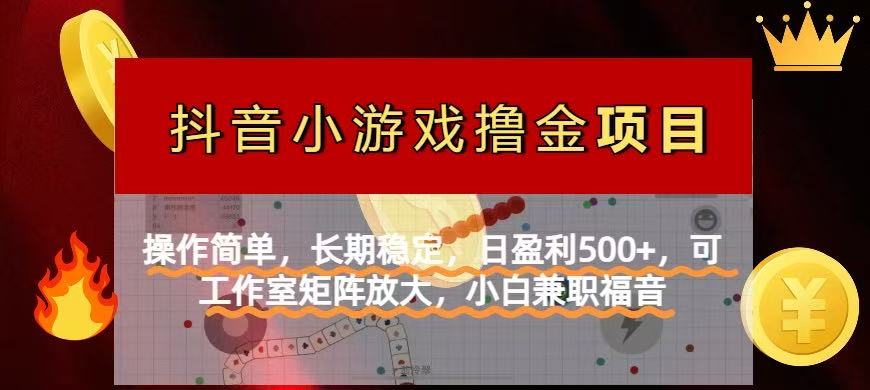 （14290期）【抖音小游戏发行人计划项目】操作简单，长期稳定，日盈利500+，可工作…-源码天堂