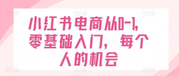 小红书电商从0-1，零基础入门，每个人的机会-源码天堂