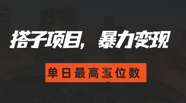2024搭子玩法，0门槛，暴力变现，单日最高破四位数【揭秘】-源码天堂