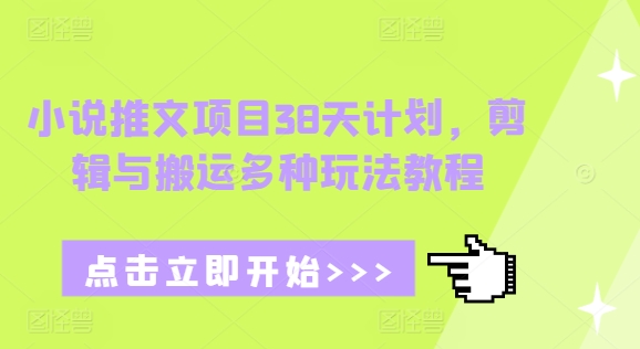 小说推文项目38天计划，剪辑与搬运多种玩法教程-源码天堂