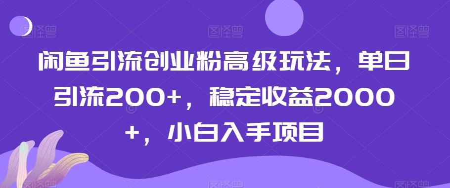 闲鱼引流创业粉高级玩法，单日引流200+，稳定收益2000+，小白入手项目-源码天堂