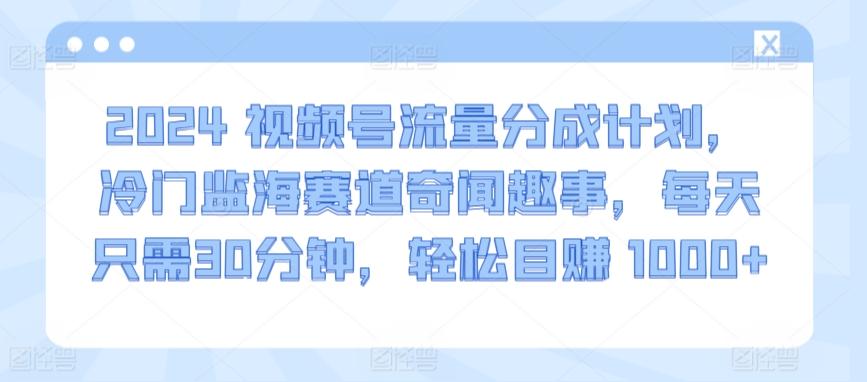 2024视频号流量分成计划，冷门监海赛道奇闻趣事，每天只需30分钟，轻松目赚 1000+【揭秘】-源码天堂