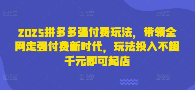2025拼多多强付费玩法，带领全网走强付费新时代，玩法投入不超千元即可起店-源码天堂