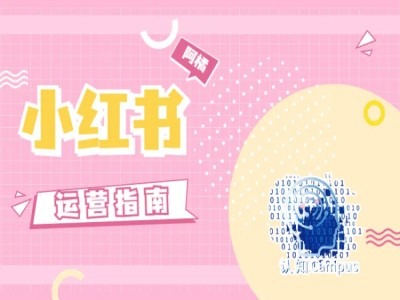 小红书运营指南，没有套路，全是经验-源码天堂