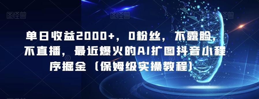 单日收益2000+，0粉丝，不露脸，不直播，最近爆火的AI扩图抖音小程序掘金（保姆级实操教程）-源码天堂