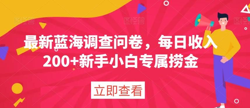 最新蓝海调查问卷，每日收入200+新手小白专属捞金-源码天堂