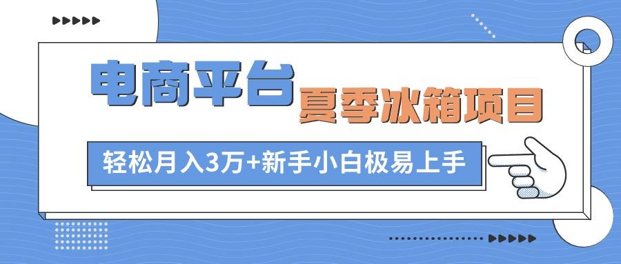 电商平台夏季冰箱项目，轻松月入3万+，新手小白极易上手-源码天堂