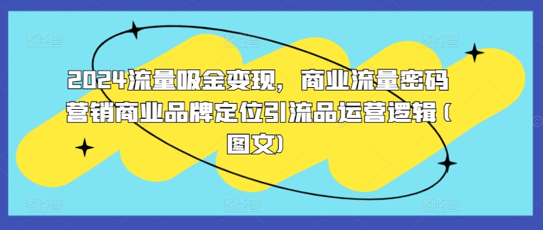 2024流量吸金变现，商业流量密码营销商业品牌定位引流品运营逻辑(图文)-源码天堂