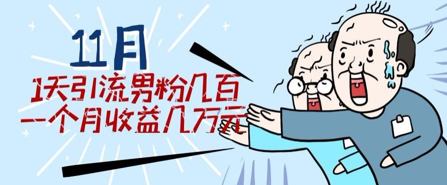 11月最新每天引流男粉300+一个月收益几万元-源码天堂