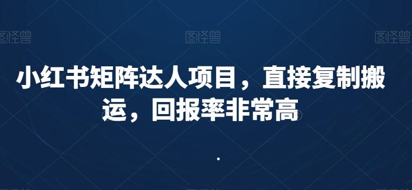 小红书矩阵达人项目，直接复制搬运，回报率非常高-源码天堂