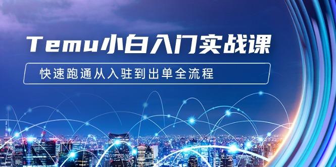 (9295期)Temu小白入门实战课：跨境拼多多电商培训 快速跑通从入驻到出单全流程-12节-源码天堂