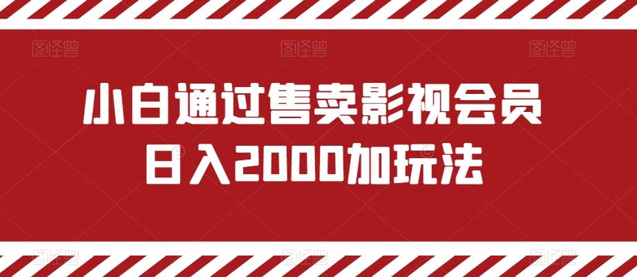 小白通过售卖影视会员日入2000加玩法-源码天堂