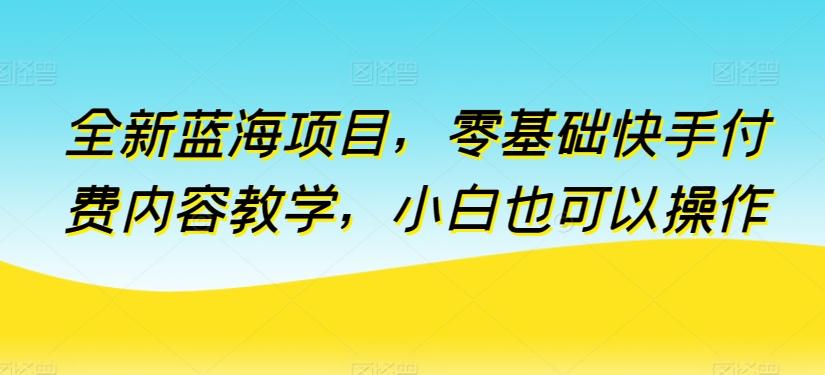 全新蓝海项目，零基础快手付费内容教学，小白也可以操作【揭秘】-源码天堂