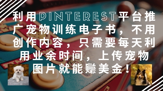 利用Pinterest平台推广宠物训练电子书，不用创作内容，只需要每天利用业余时间，上传宠物图片就能挣美金!-源码天堂