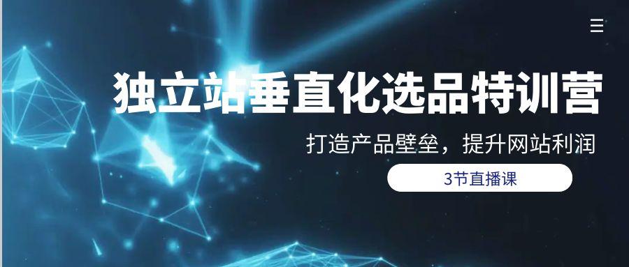 (9925期)独立站-垂直化选品训练营，打造产品壁垒，提升网站利润(3节直播课)-源码天堂