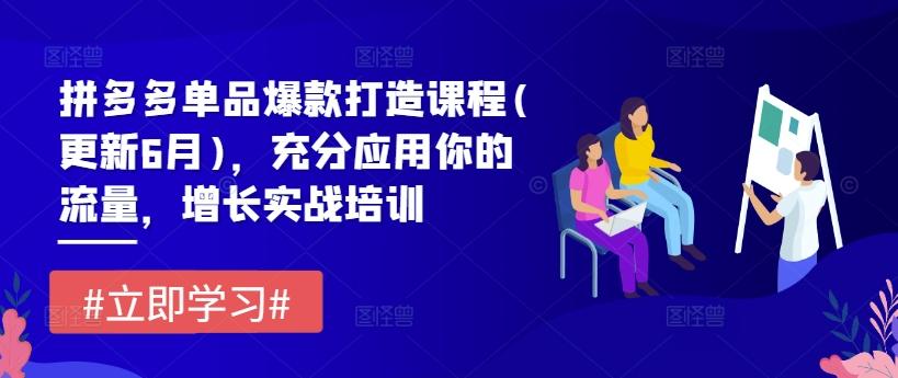 拼多多单品爆款打造课程(更新6月)，充分应用你的流量，增长实战培训-源码天堂
