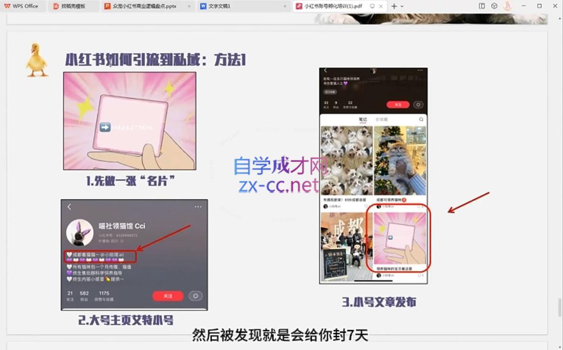 小马哥·全渠道运营增长课-源码天堂